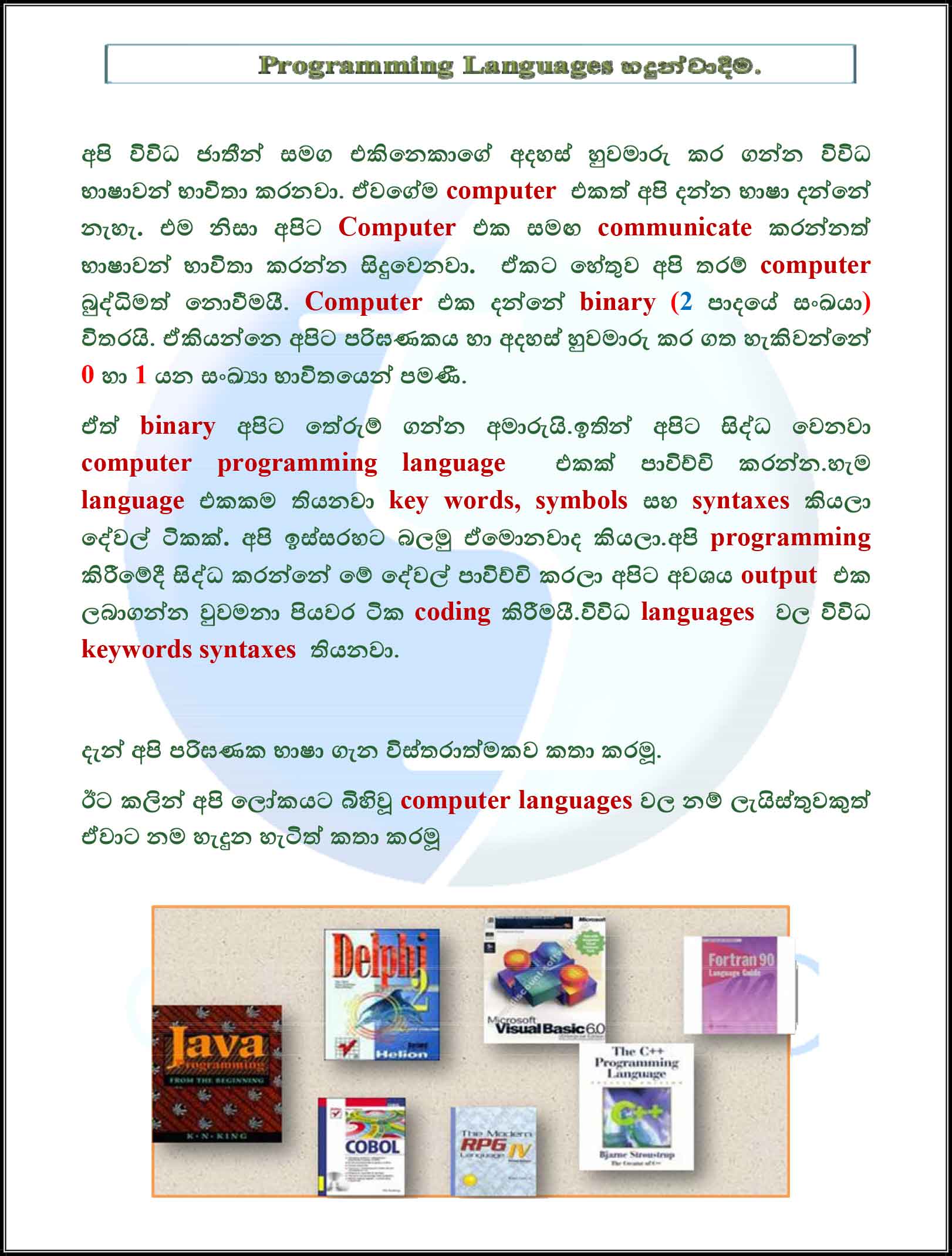 Introduction to Programming Languages in Sinhala