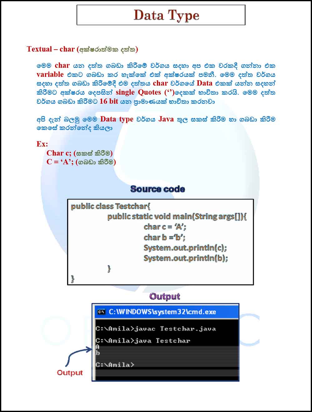 Java Data Type - Java Sinhala Tutorial