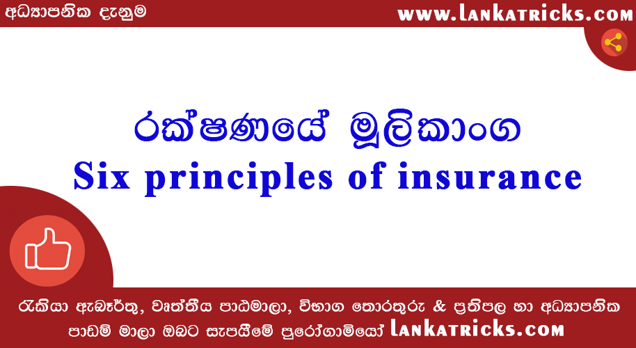Six principles of insurance