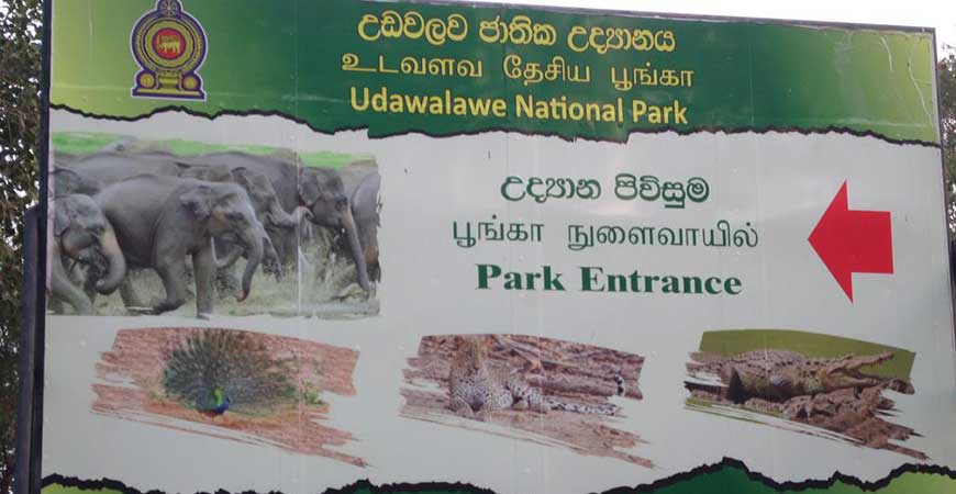 Access Roads to Udawalawe National Park