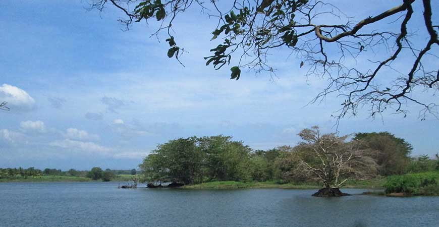 Katupila Wewa - A bathing place of natural, scenic, and safe in Udawalawe, Sri Lanka