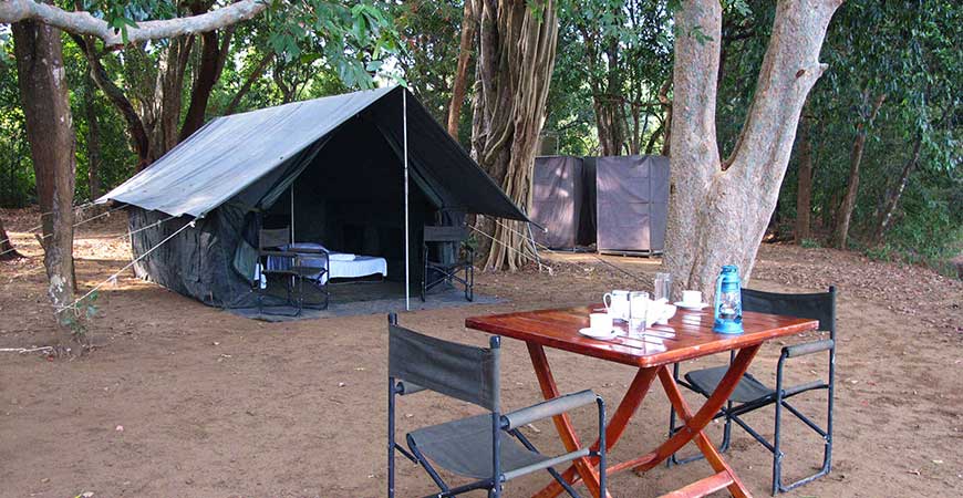 Camping in Udawalawe National Park