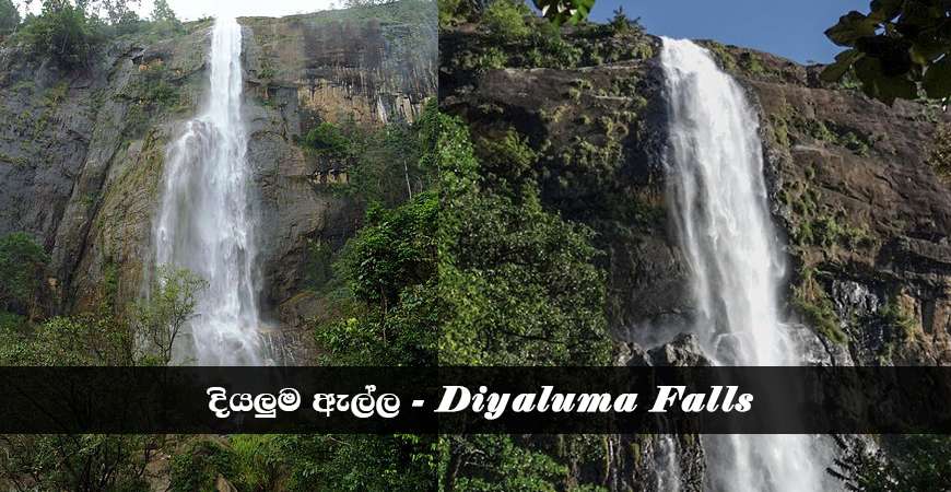 Diyaluma Falls - The second highest waterfall in Sri Lanka